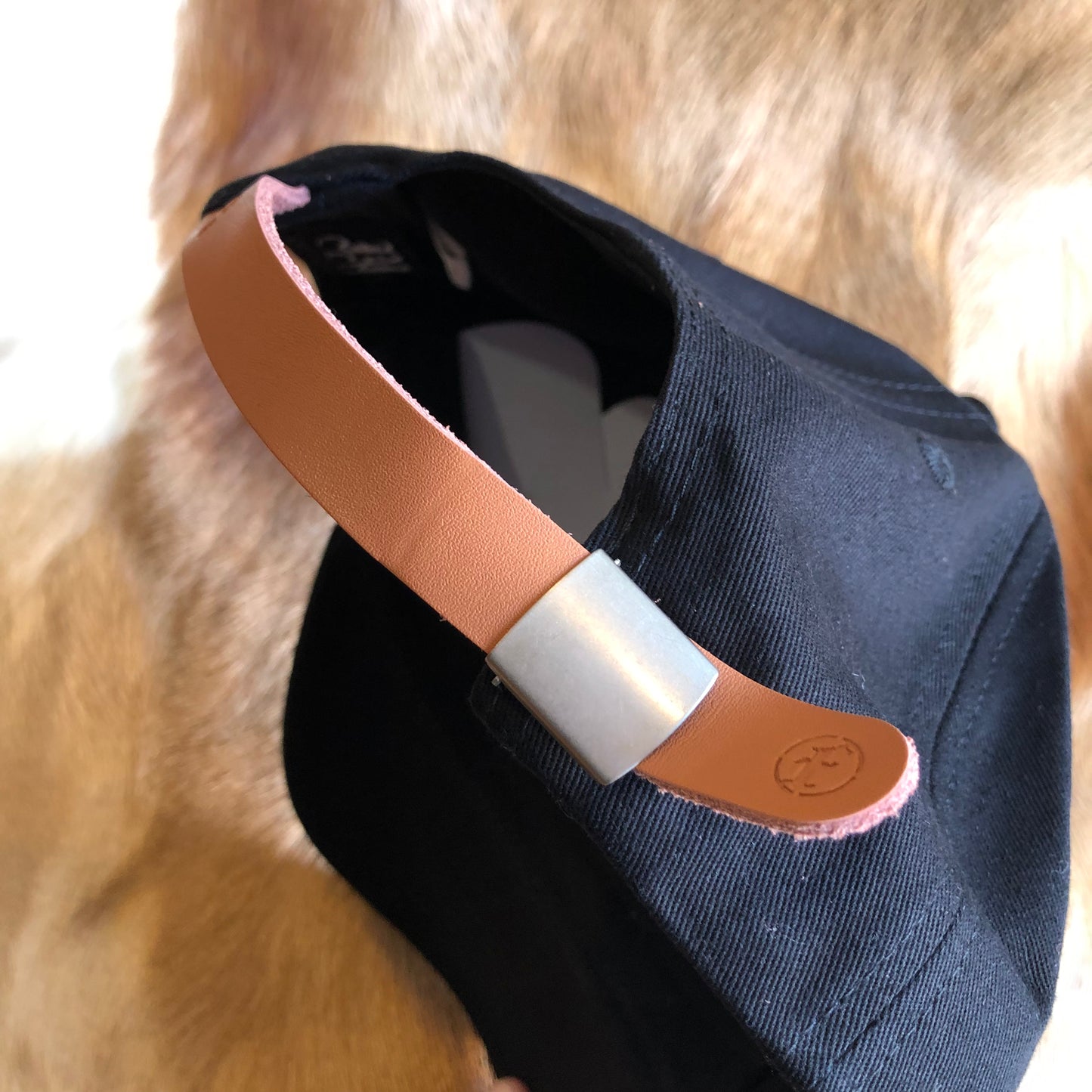 Fraves Cap BLACK
