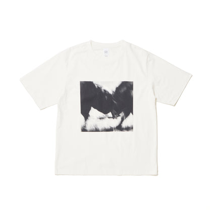 VAFOL26S001 ID1986-C White