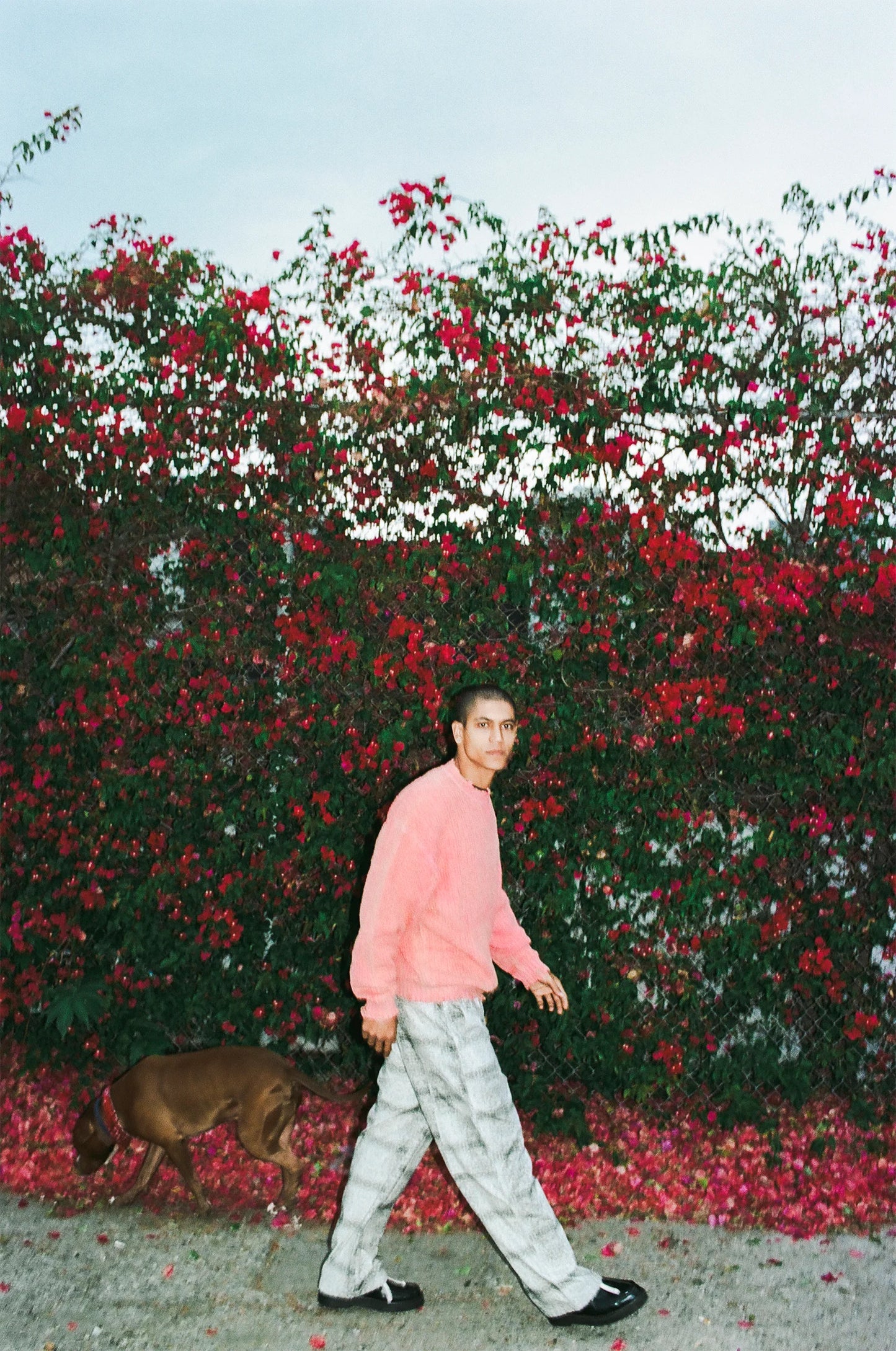 VASK25F004	Jeff-D Peach