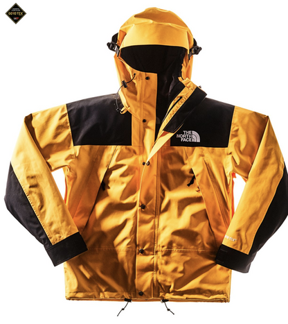 THE NORTH FACE 1990 MOUNTAIN JACKET GTX US限定 YELW