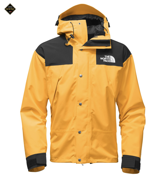 THE NORTH FACE 1990 MOUNTAIN JACKET GTX US限定 YELW