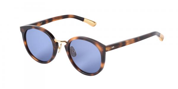 DARRYL 14 Havana Brown/Gold (Blue)