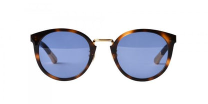 DARRYL 14 Havana Brown/Gold (Blue)