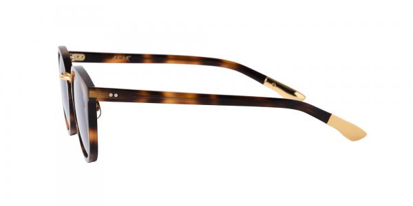 DARRYL 14 Havana Brown/Gold (Blue)