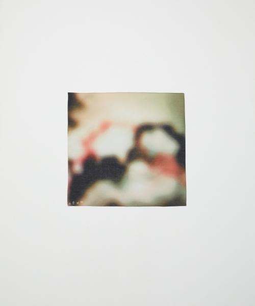 BAL-A-667 BANDANA BLUR