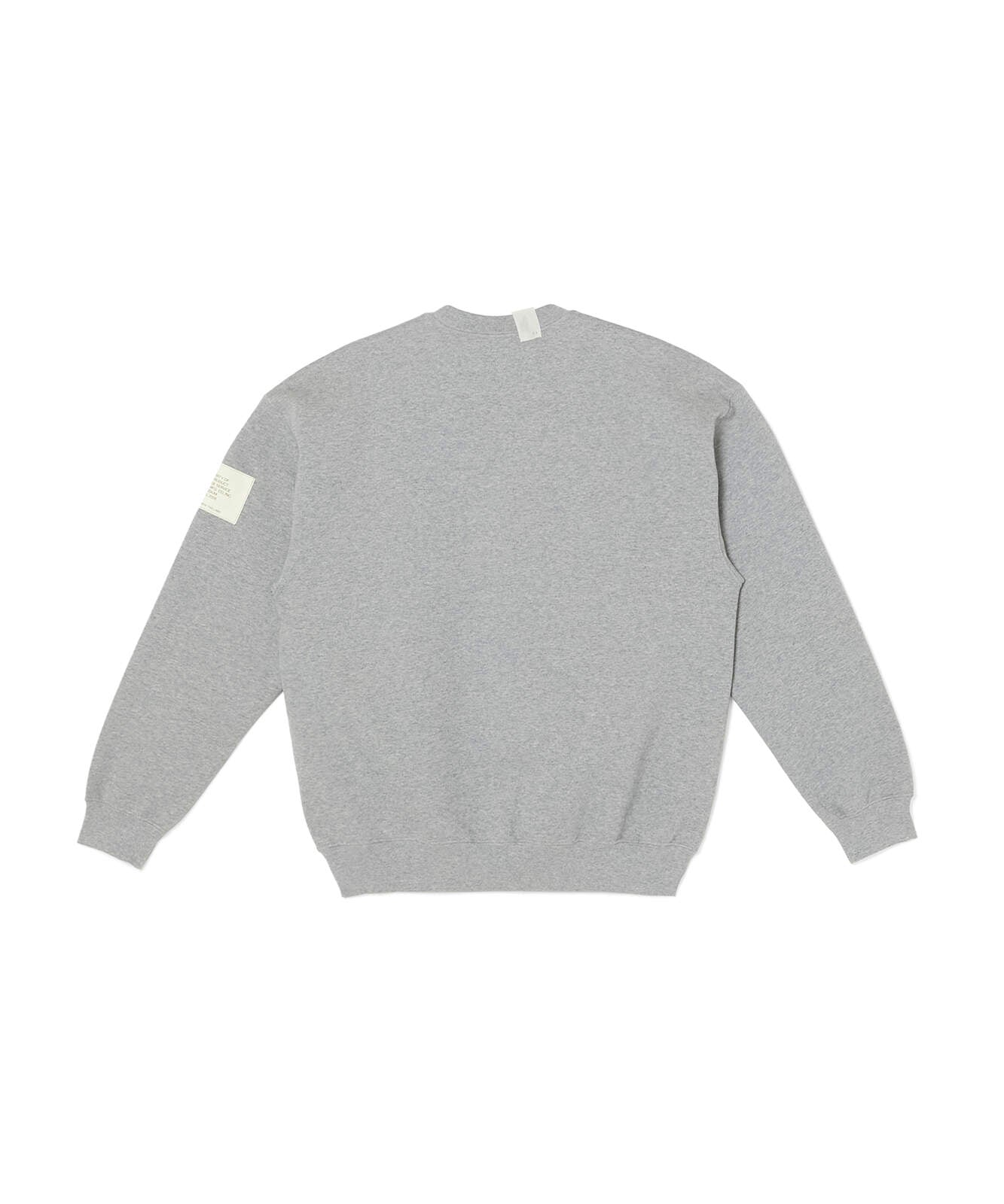 9262-CS81 / CREWNECK SWEATSHIRT T.GRAY