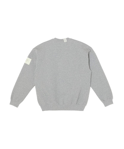 9262-CS81 / CREWNECK SWEATSHIRT T.GRAY