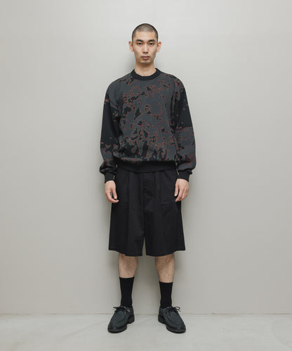 BAL-2192 JACQUARD PATTERN CREWNECK SWEATER BLACK