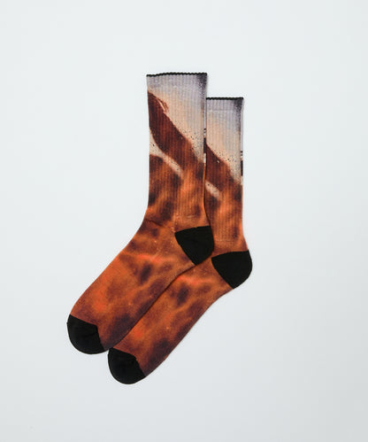 BAL-WS-001 bal / WHIMSEY PRINTED SOCKS BROWN