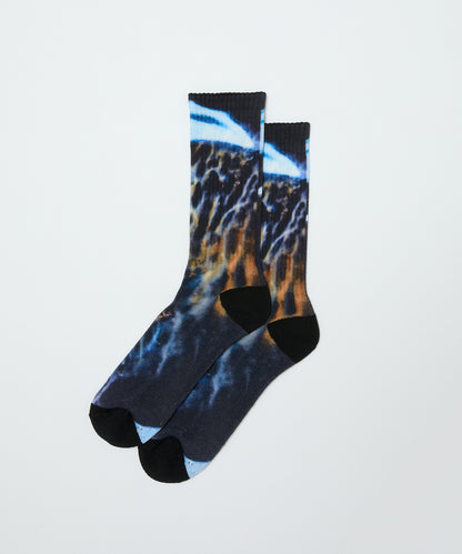 BAL-WS-001 bal / WHIMSEY PRINTED SOCKS NAVY