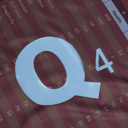 Q4 Jersey Burgundy