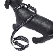 B008058 RAMIDUS DOG LEAD